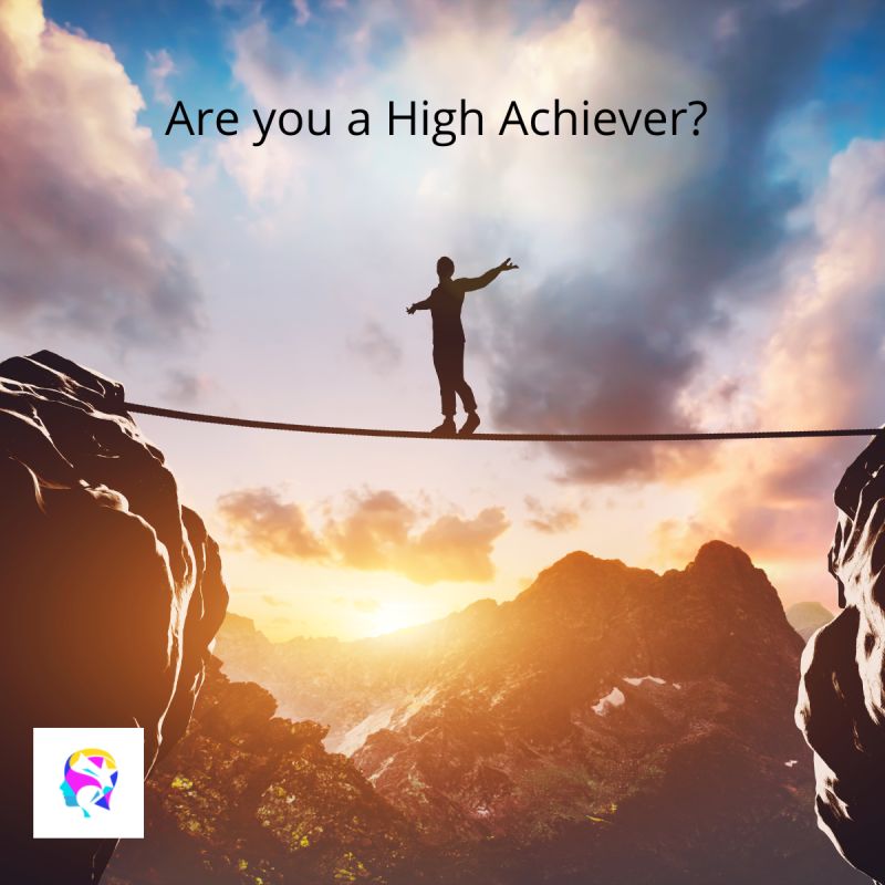 3. High Achievers
